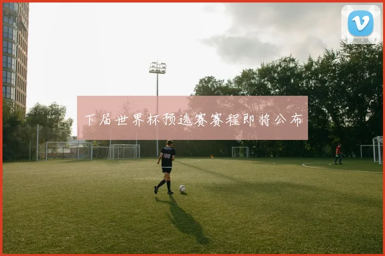 下届世界杯预选赛赛程即将公布