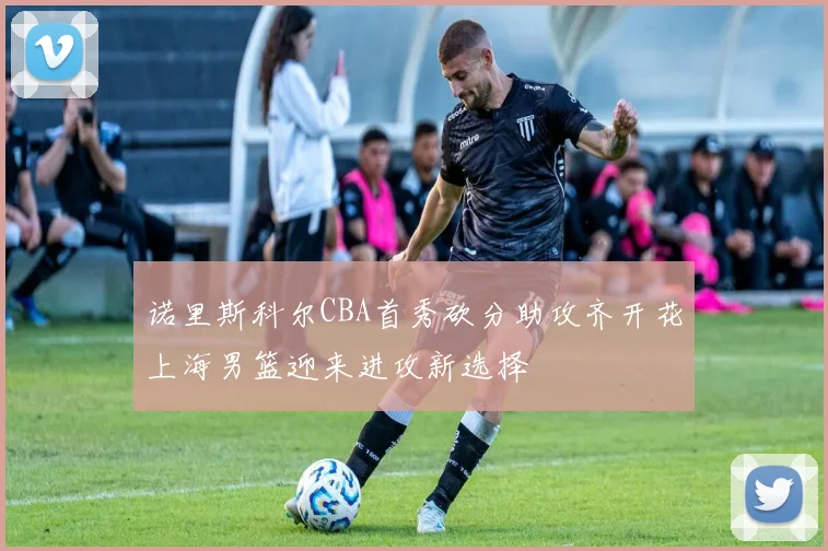 诺里斯科尔CBA首秀砍分助攻齐开花上海男篮迎来进攻新选择